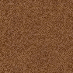 Emilia 2-Piece Sectional Loveseat