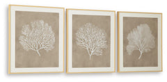Hendridge Wall Art (Set of 3)