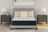 J&M Furniture - Ashley Furniture - Palisades Firm King Mattress - King - M41541
