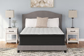 J&M Furniture - Ashley Furniture - Palisades ET Full Mattress - Full - M41721