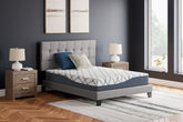 J&M Furniture - Ashley Furniture - 10 Inch Chime Elite 2.0 Queen Mattress - Queen - M42531