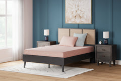 J&M Furniture - Ashley Furniture - iKidz Coral Twin Mattress and Pillow - Twin and Pillow 2/CN - M43111
