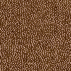 Temmpton 5-Piece Power Reclining Sectional