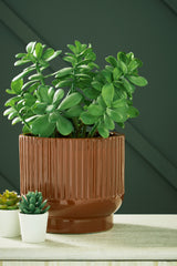 J&M Furniture - Ashley Furniture - Avalyah Vase (Set of 2) - Vase (2/CS) / Burnt Umber - A2900021