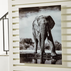 J&M Furniture - Ashley Furniture - Glinyard Wall Art - Wall Art / Black/White - A8000421