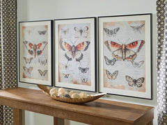 J&M Furniture - Ashley Furniture - Jossletts Wall Art (Set of 3) - Wall Art Set (3/CN) / Orange/Black/Ivory - A8000490
