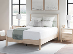 J&M Furniture - Ashley Furniture - Cadmori Queen Upholstered Panel Bed - Queen Upholstered Panel Bed / Black/White - B2616B2
