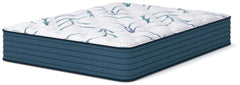 Limited Edition Plush 3.0 Full Mattress