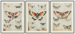 Jossletts Wall Decor